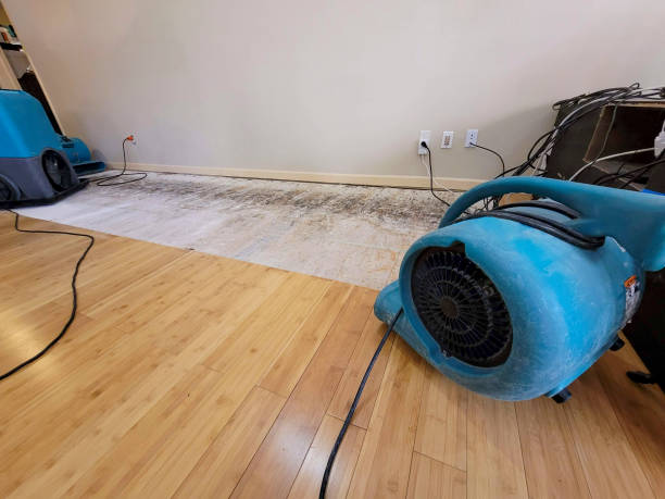 Professional Structural Drying technician working in Lebanon, PA